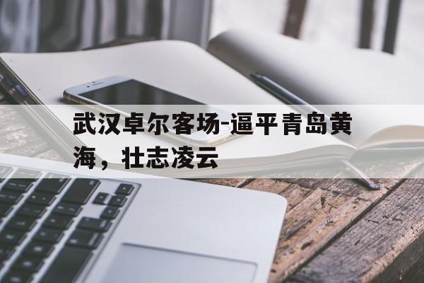 关于武汉卓尔客场-逼平青岛黄海，壮志凌云的信息